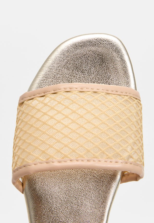 Steve Madden AVERLEE