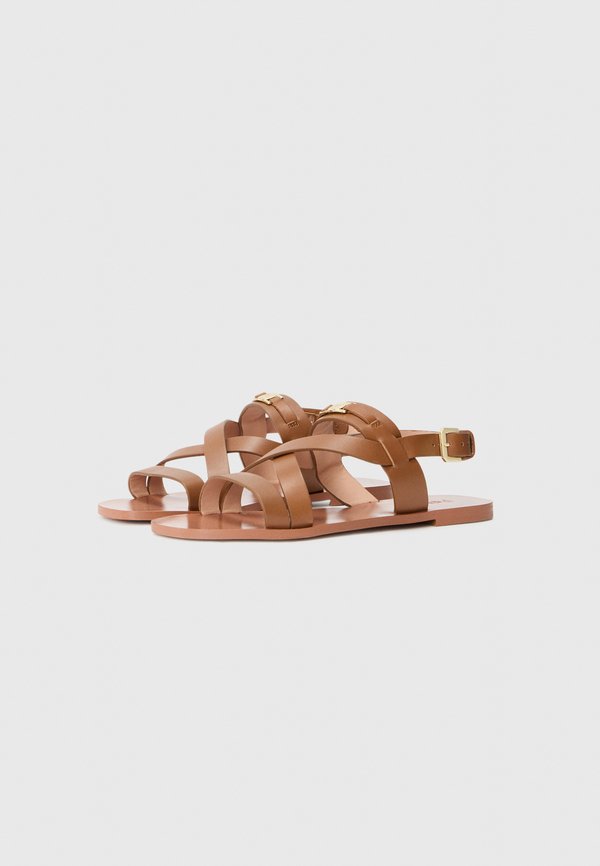Pollini