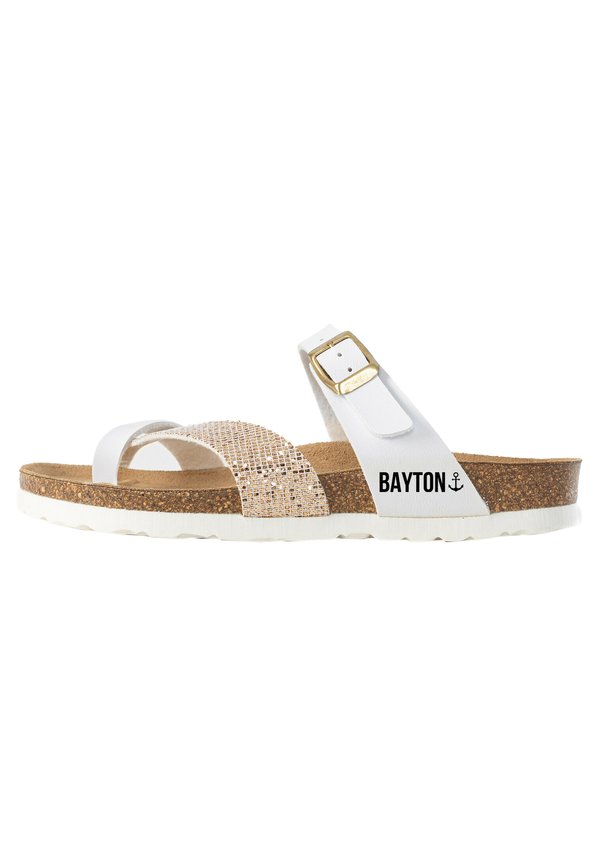 BAYTON DIANE