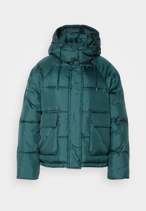 Scotch & Soda