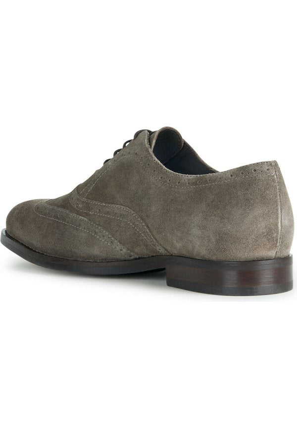 Geox U HAMPSTEAD