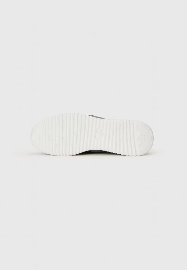 Pollini