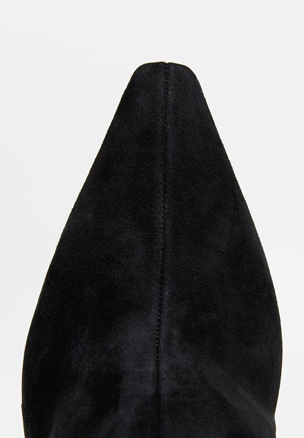 Pollini