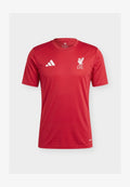adidas Performance LIVERPOOL FC DNA - Sports T-shirt - active maroon