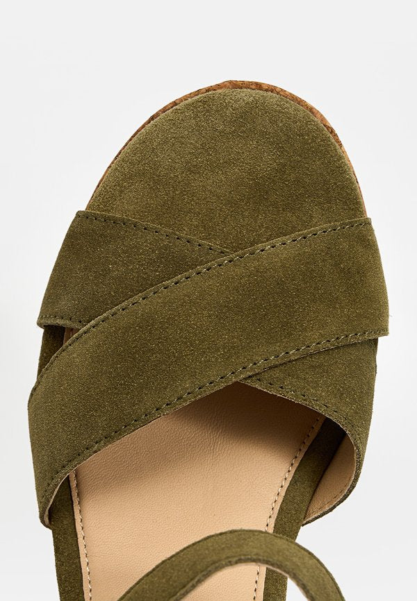 Scholl DARCY