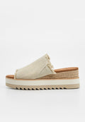TOMS DIANA