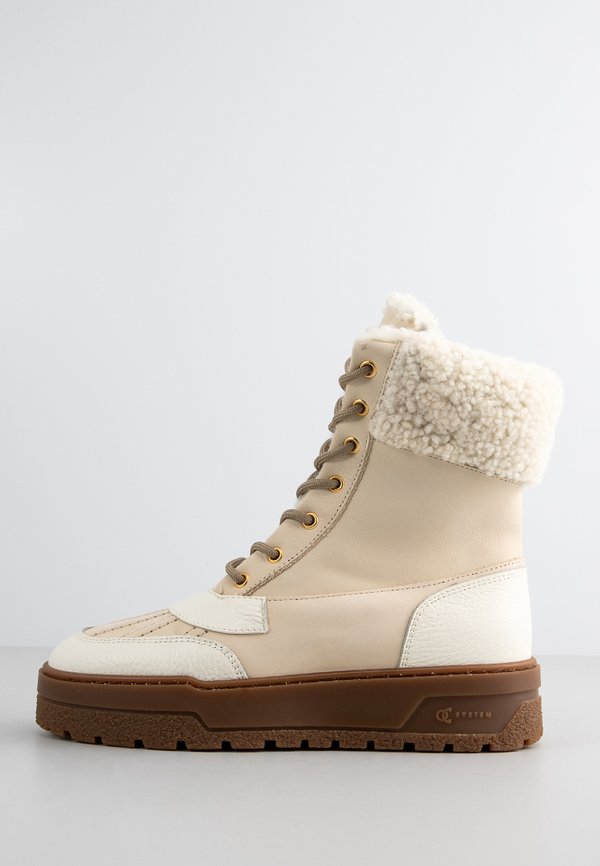Pollini