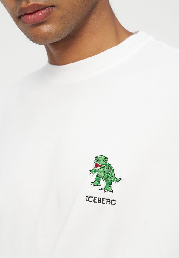Iceberg