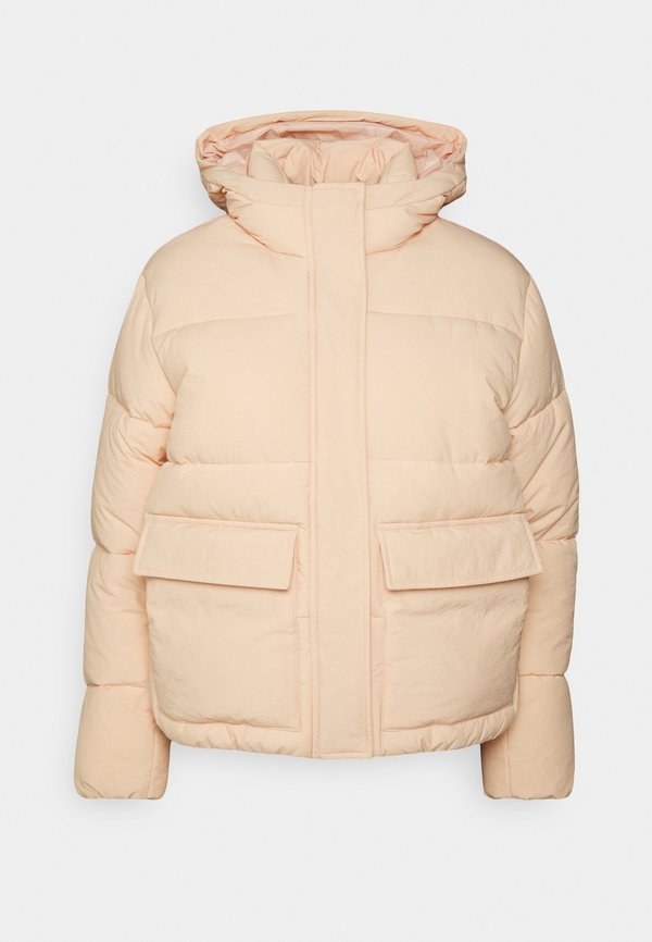 Champion Rochester HOODED JACKET