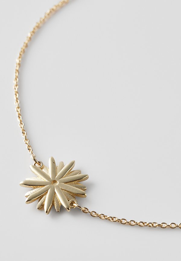 Oréclat MAGNOLIA