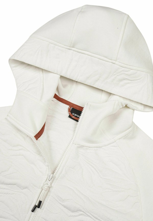 Icepeak AMBERG