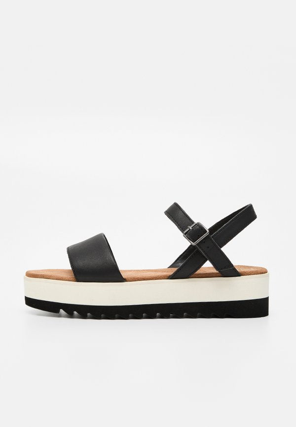 TOMS BRYNN
