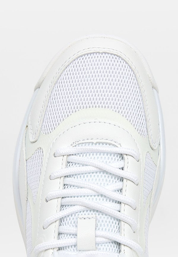 Scholl WALKER