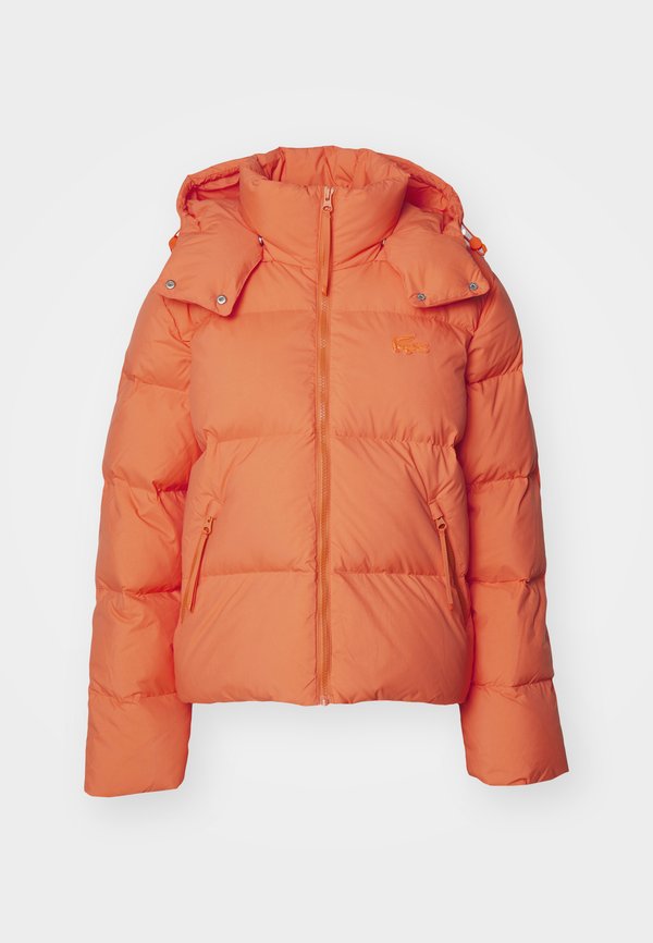 Lacoste BF3262_XFJ