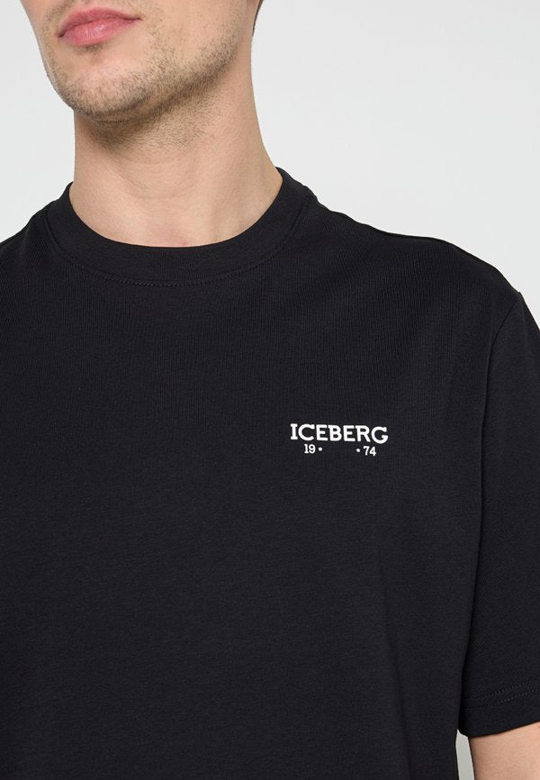 Iceberg