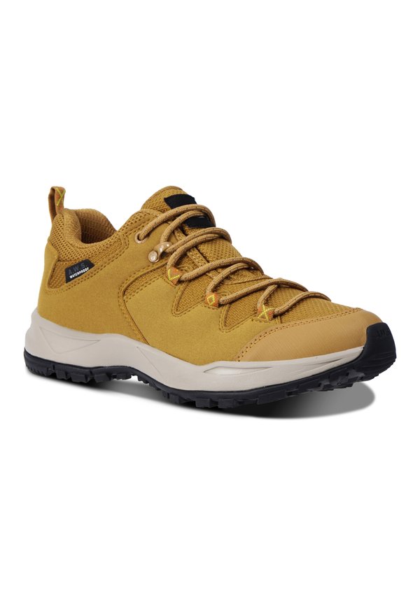 Icepeak AHOLA