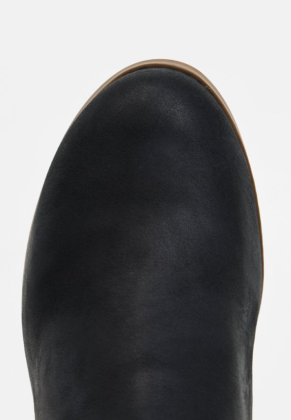 TOMS EVELYN