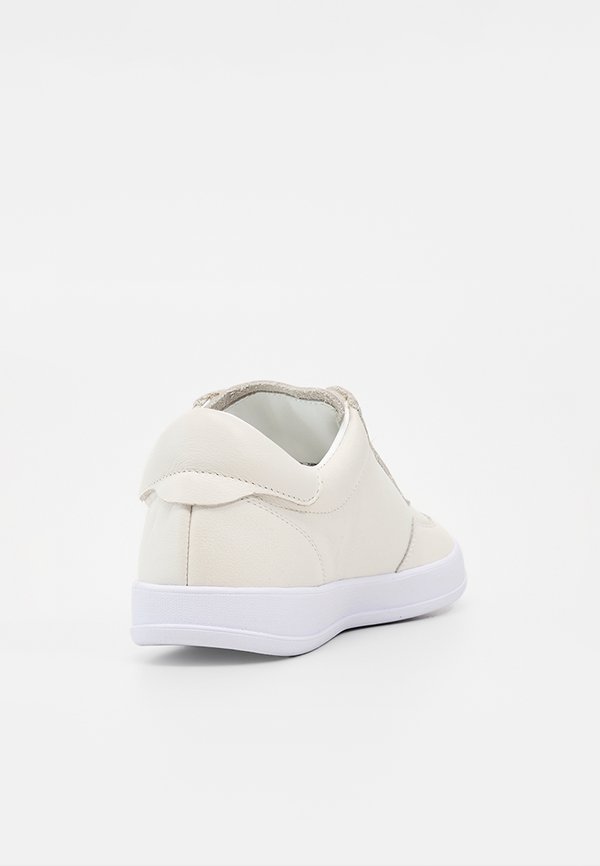Pollini
