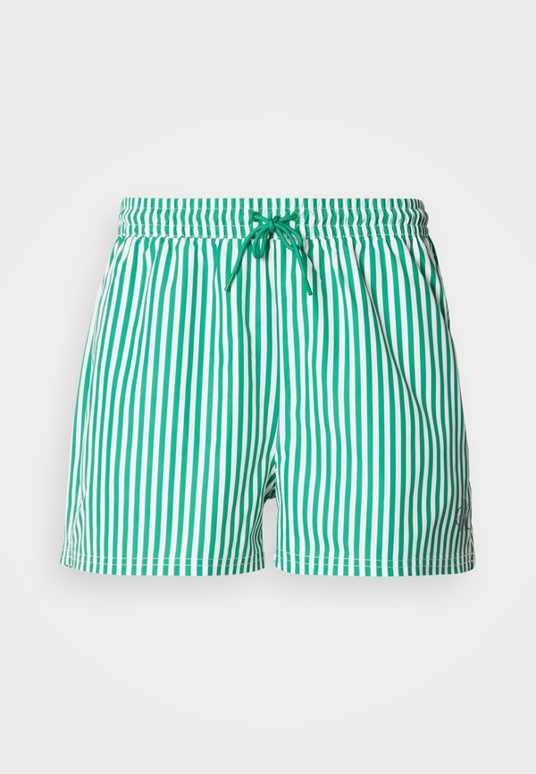Calvin Klein Swimwear DRAWSTRING WAISTBAND GRAPHIC MONOGRAM - Swimming shorts - penny/mardi gras green