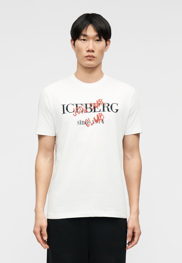 Iceberg