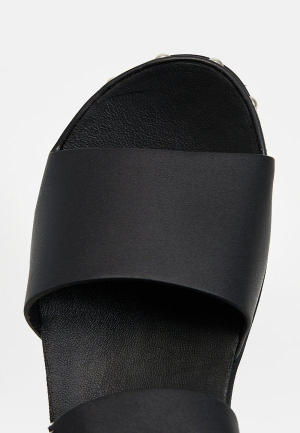 Scholl IRIS