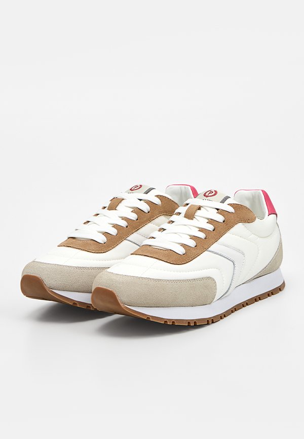 Pollini