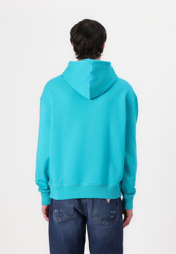 Tommy Jeans CLASSICS HOODIE