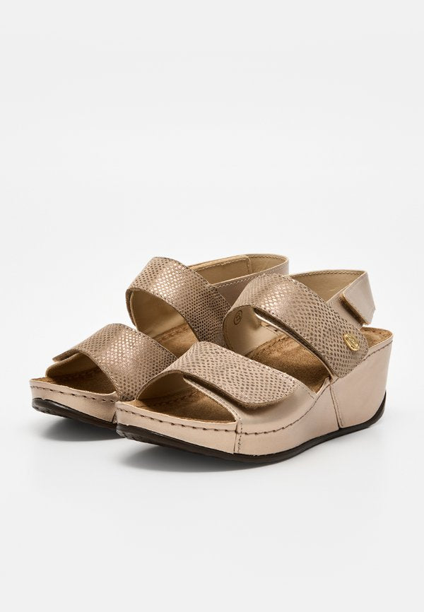 Scholl ABERDEEN