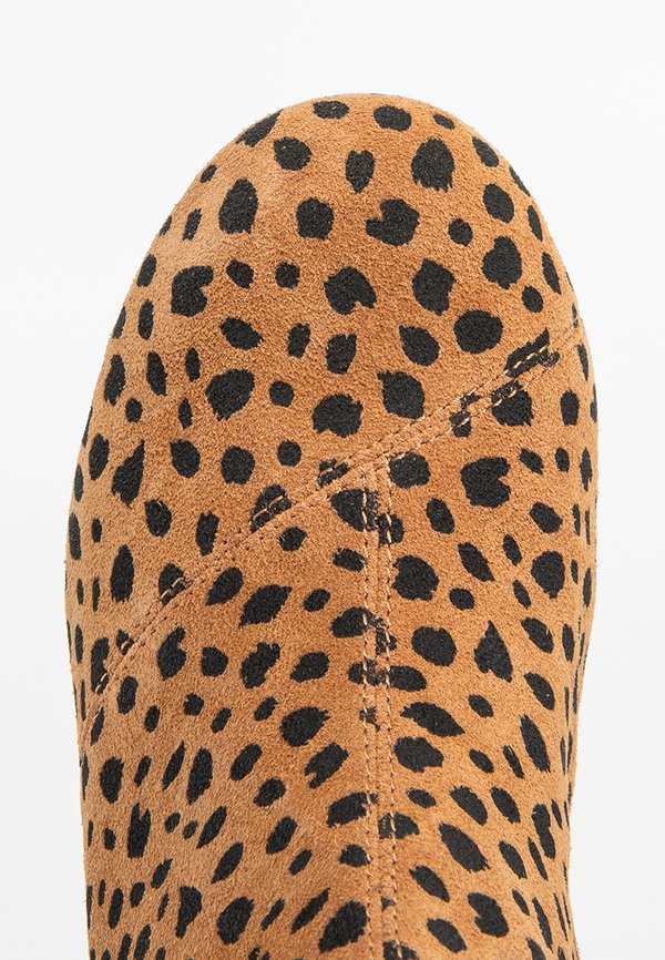 TOMS KELSEY