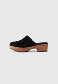 TOMS