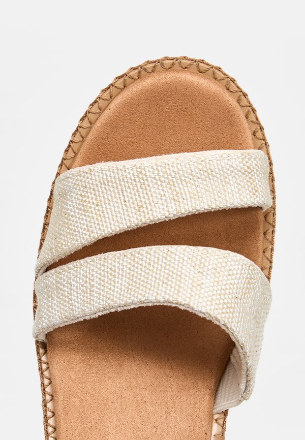 TOMS DARYA