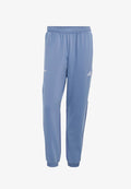 adidas Performance ADIDAS PERFORMANCE TECH APPAREL WARM PANT - Tracksuit bottoms - preloved ink