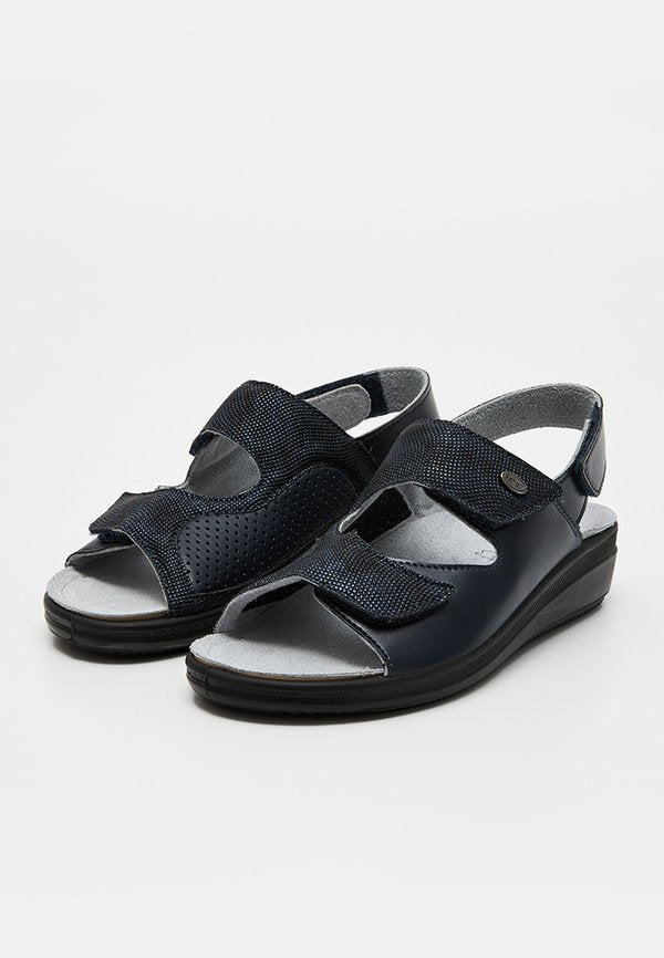 Scholl ANTONIA