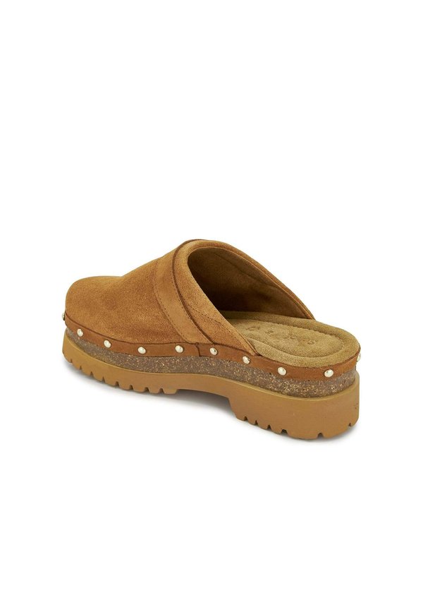 Scholl CINDY