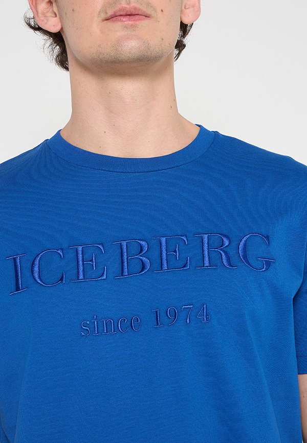 Iceberg