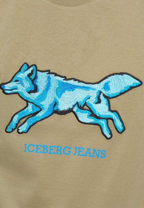 Iceberg