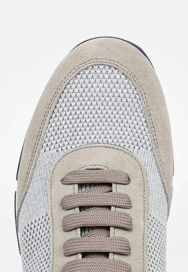 Pollini