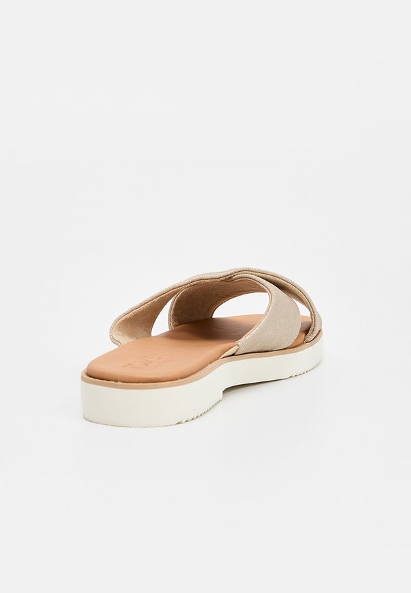 TOMS MAE