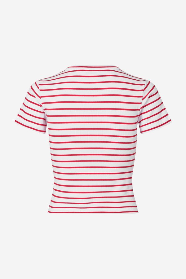 Envii ALLY CROP TEE