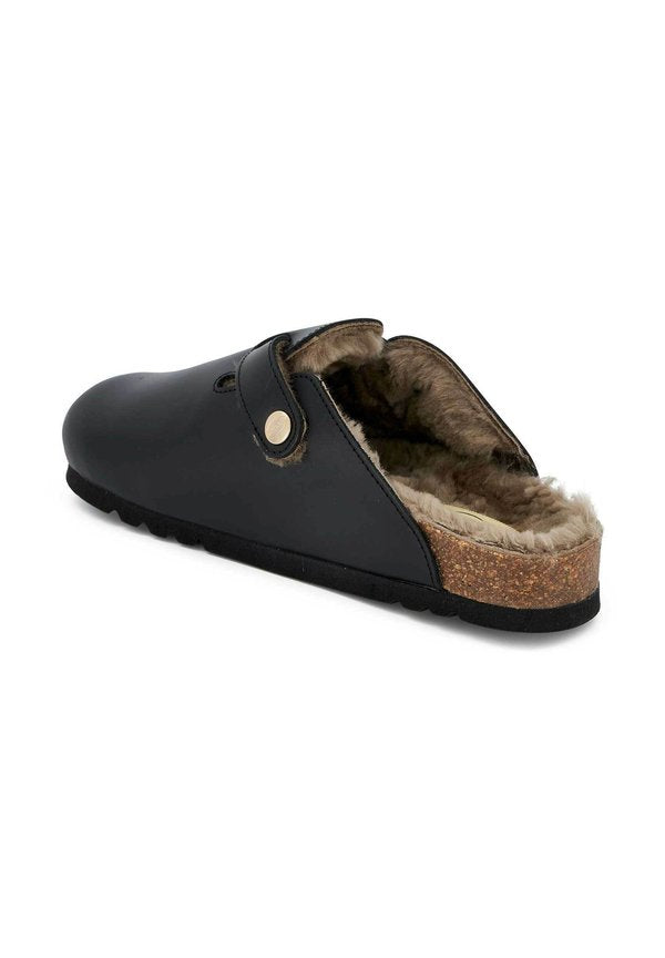 Scholl