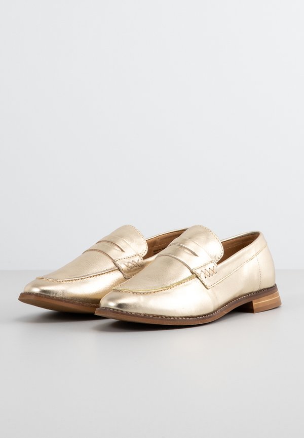ALDO FOCAL