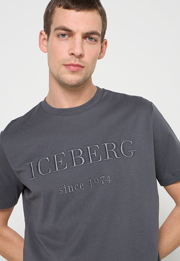 Iceberg