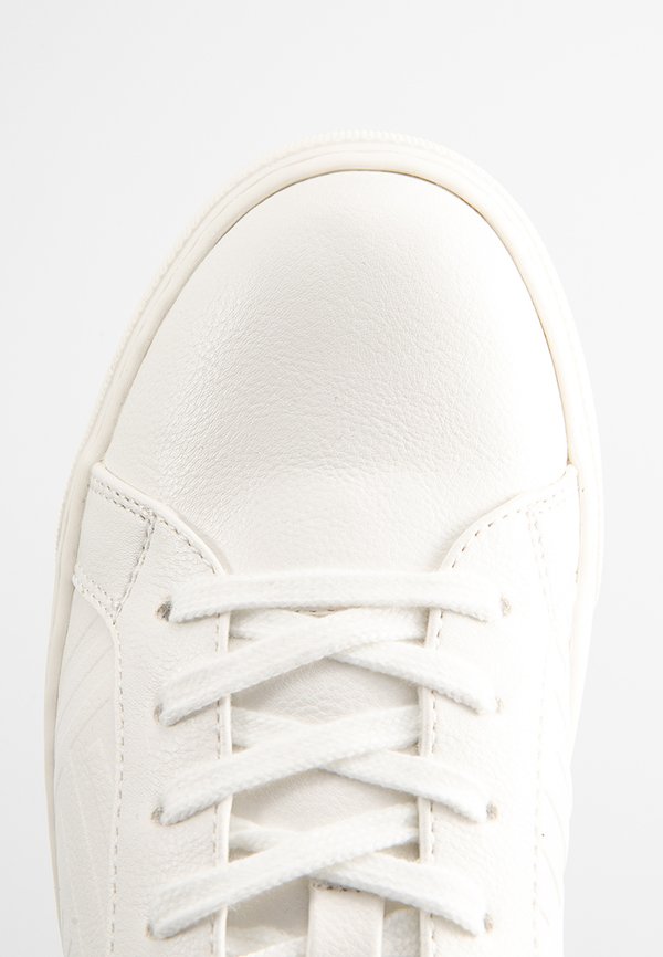 ALDO STORMY