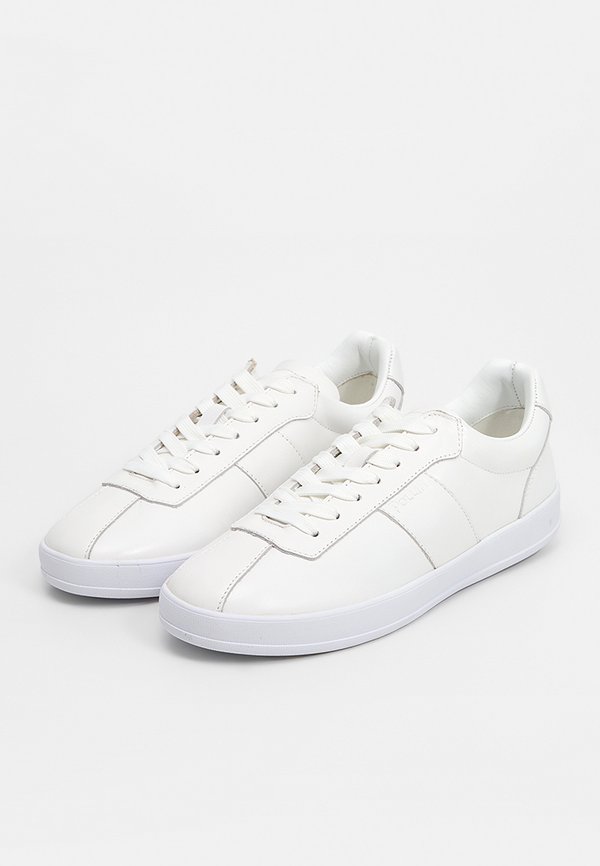 Pollini