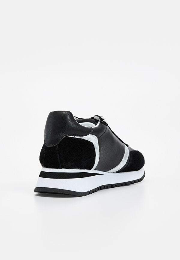 Pollini