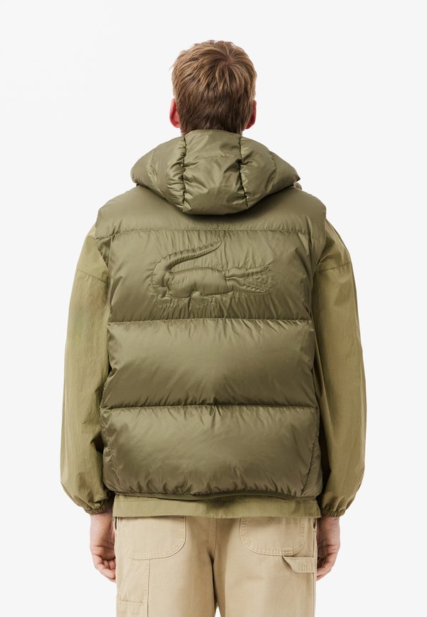 Lacoste