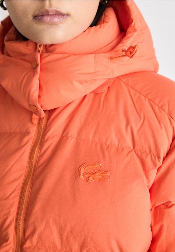 Lacoste BF3262_XFJ