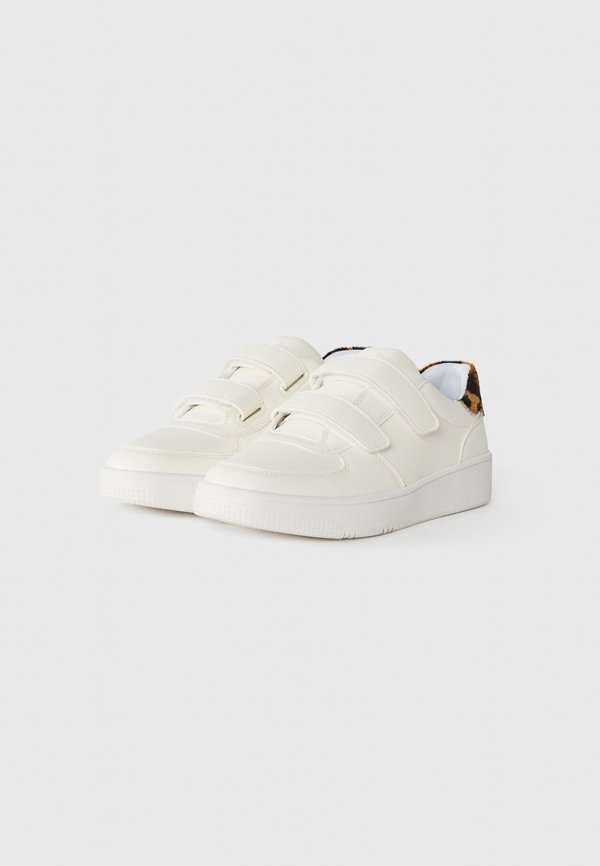 ALDO