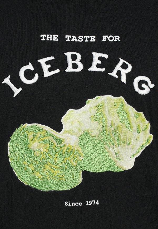 Iceberg