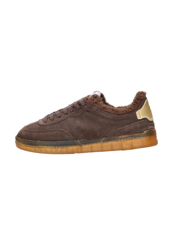 Scotch & Soda